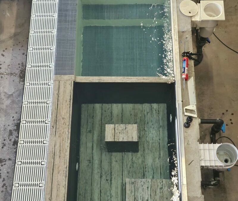 Comment se déroule une formation pose de membrane armée?